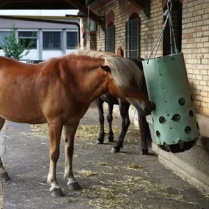 Медленная кормушка для лошади