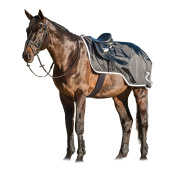 Полупопона дождевая для лошади на флисе 