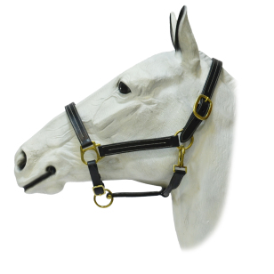 Недоуздок кожаный "ЕQUIМAN" с отстрочкой