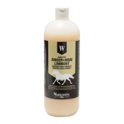 Линимент - Ginger + MSM, 1 л