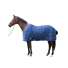 Попона зимняя WI23 для лошади