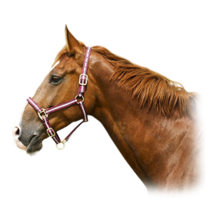 Недоуздок нейлоновый NORTON