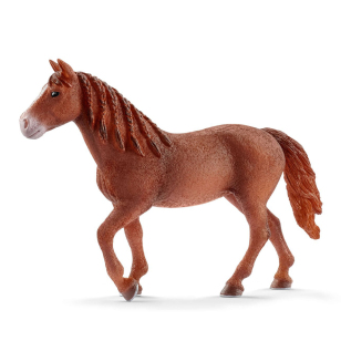 Кобыла Морган