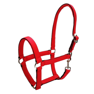 Недоуздок нейлоновый на подложке