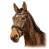 Оголовье трензельное "Galon" Оголовье трензельное "Galon"