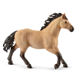 Жеребец скакун