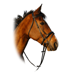 Оголовье трензельное Riding World Оголовье трензельное Riding World