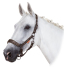 Недоуздок ESKADRON "PIN BUCKLE GLOSSY DESSIN PLATINUM 20"