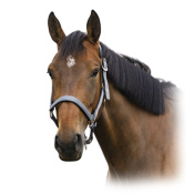 Недоуздок нейлоновый AIR на подложке Недоуздок нейлоновый AIR на подложке