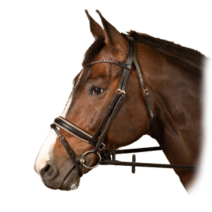 Оголовье трензельное "Rosegold Royal" Оголовье трензельное "Rosegold Royal"