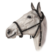 Оголовье трензельное из биотана Оголовье трензельное из биотана