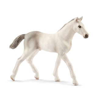 Голштинский жеребенок