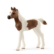 Жеребенок пинтабиан Жеребенок пинтабиан