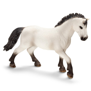 Жеребец камаргский