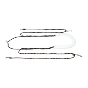 Шлея Пессоа