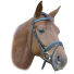 Оголовье трензельное Bonny, арт.81384