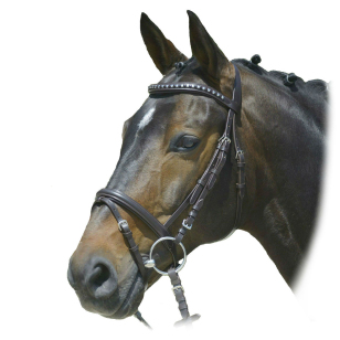 Оголовье трензельное "Clincher" Оголовье трензельное "Clincher"