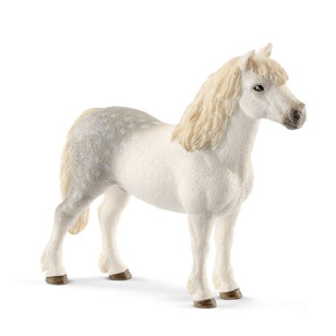 Жеребец Уэльского пони