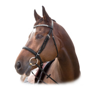 Оголовье трензельное "Belmont"