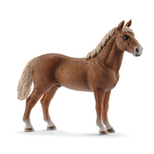 Жеребенок Морган