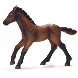 Жеребенок камаргу Жеребенок камаргу