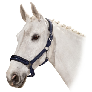 Недоуздок ESKADRON "DOUBLEPIN SOFTSHELL" Недоуздок ESKADRON "DOUBLEPIN SOFTSHELL"