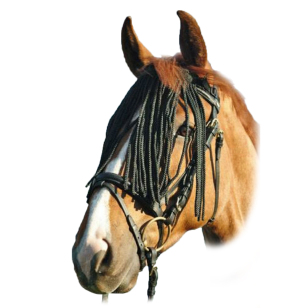 Налобник от насекомых