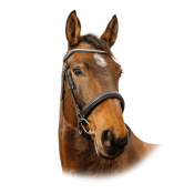 Оголовье трензельное Diva