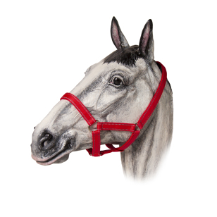 Недоуздок нейлоновый светоотражающий TAYGA