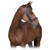 Оголовье мундштучное "NORTON PRO" Оголовье мундштучное "NORTON PRO"