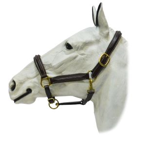 Недоуздок кожаный "ЕQUIМAN" с узором Недоуздок кожаный "ЕQUIМAN" с узором