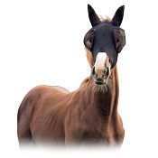 Маска от насекомых LAMI-CELL Маска от насекомых LAMI-CELL