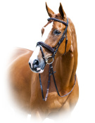 Оголовье трензельное "Horze Prague" Оголовье трензельное "Horze Prague"