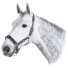 Недоуздок ESKADRON "PIN BUCKLE", 410000815