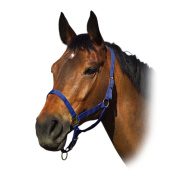 Недоуздок нейлоновый