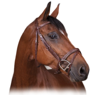 Оголовье трензельное "COMBINÉE"