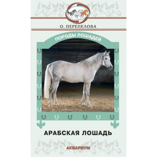Арабская лошадь, Перепелова О.В. Арабская лошадь, Перепелова О.В.