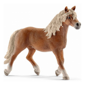 Жеребец хафлингер