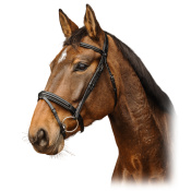 Оголовье трензельное "Apophyse"