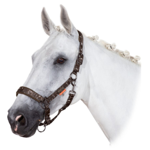 Недоуздок ESKADRON "PIN BUCKLE GLOSSY DESSIN PLATINUM 20"