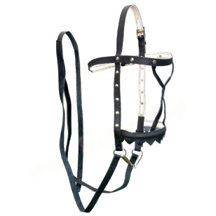 Узда выездная чепрак - сыромять Узда выездная чепрак - сыромять