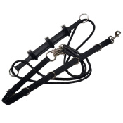 Гог на карабинах Гог на карабинах