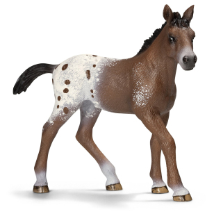 Жеребенок аппалузский