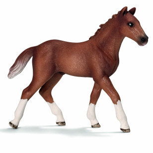 Жеребенок ганноверский