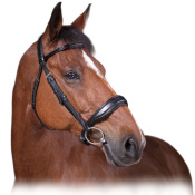 Оголовье трензельное "CONFORT"