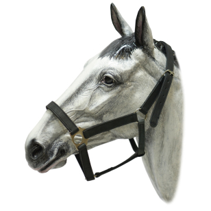 Недоуздок кожаный