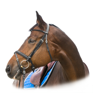 Оголовье трензельное "Kent"