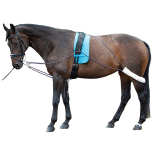 Шлея Пессоа Шлея Пессоа