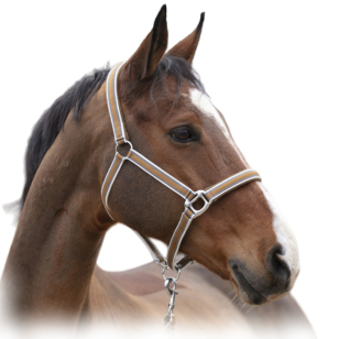 Недоуздок нейлоновый "LINE" на флисовой подложке