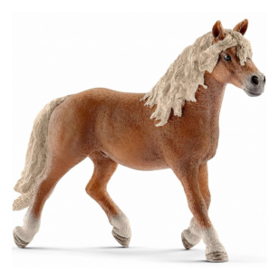 Жеребец хафлингер Жеребец хафлингер